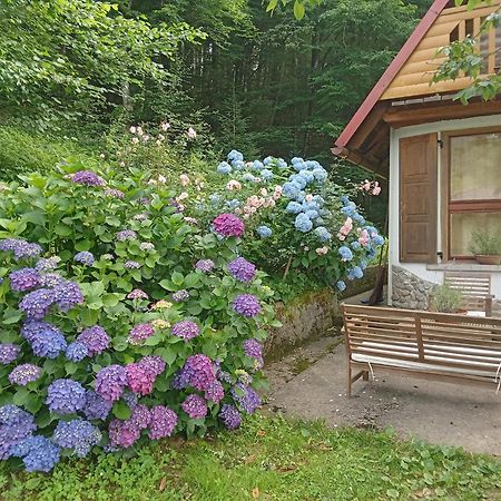 Holiday Home Vesna Brod na Kupi Exterior foto