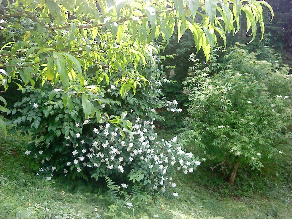 Holiday Home Vesna Brod na Kupi Quarto foto
